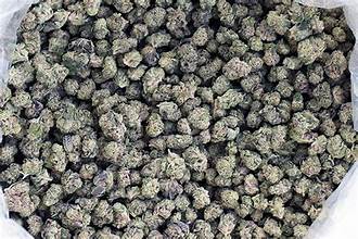 Chico Verde: Blackberry Sour