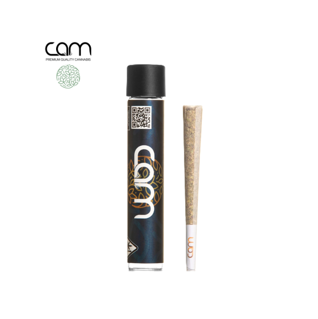 CAM: Mars OG