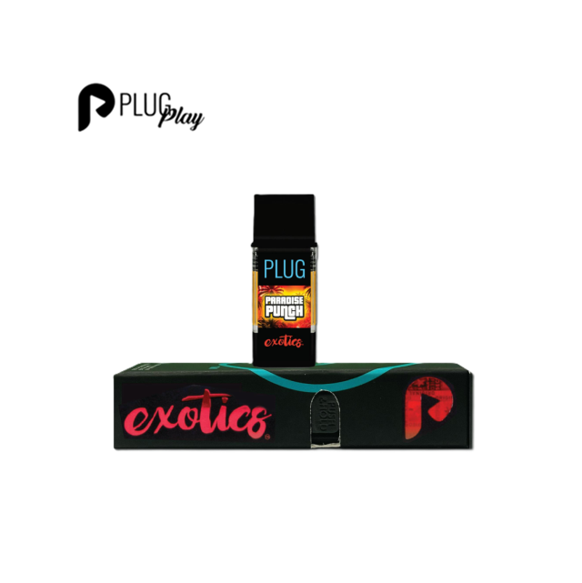 PlugPlay — Paradise Punch