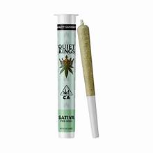 Quiet Kings — Maui Haze