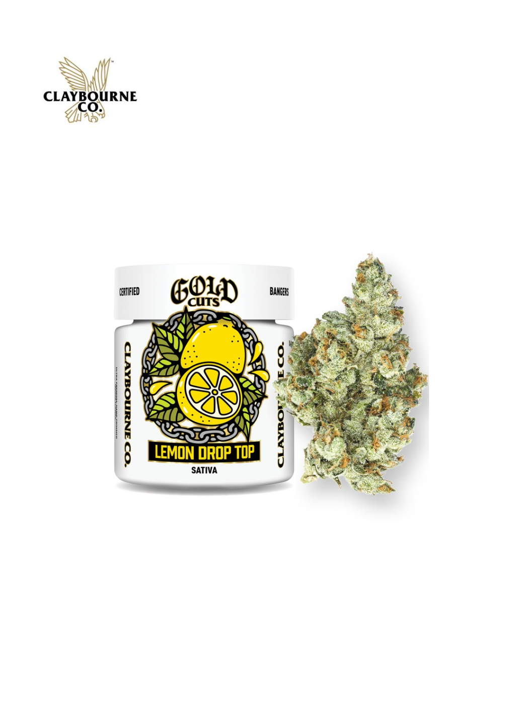 THE DRIPPER BOX DAMNGOOD× NATURE TONES Amazon.com: Brewista Tornado Duo Pour Over Coffee Dripper