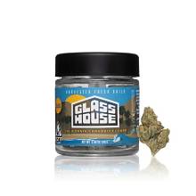 Glass House Farms: Super Sour Diesel