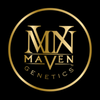 Maven — Umami Butter