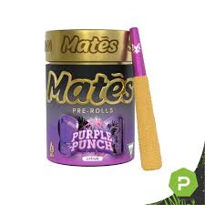PURPLE PUNCH 3G INFUSED PREROLLS 5 PACK