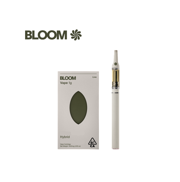 BLOOM: Kush Mintz