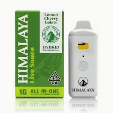 Himalaya — Lemon Cherry Gelato Live