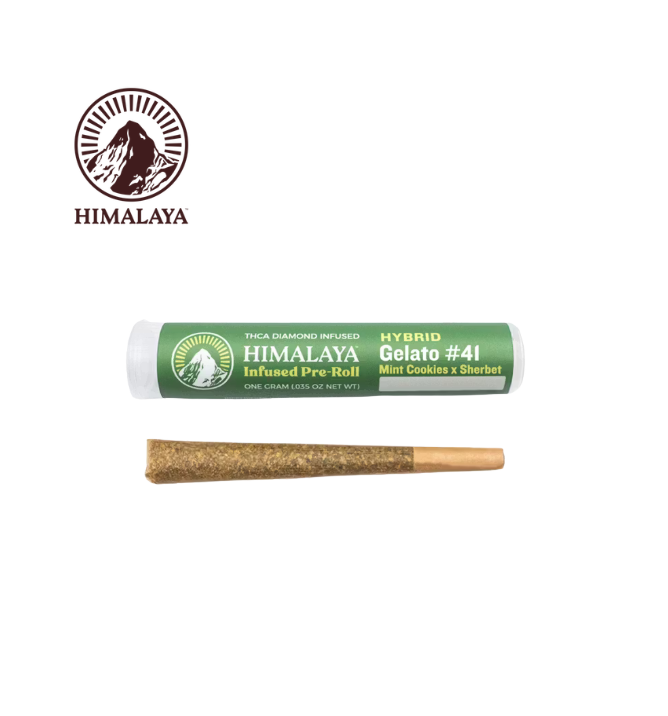 Himalaya — Gelato #41