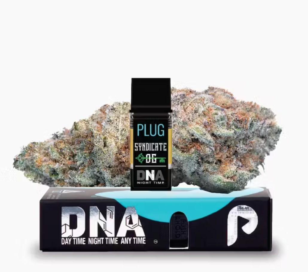 PlugPlay — Syndicate OG