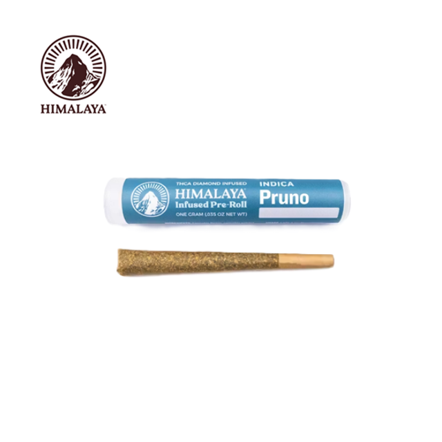 Himalaya — Pruno