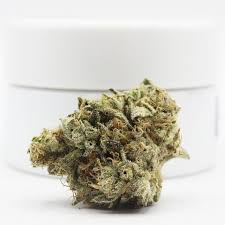LEMON TART PUCKER #1 14G INDOOR