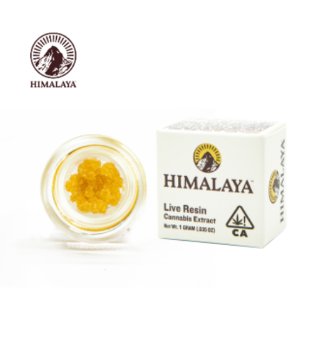 Himalaya: Sour Diesel Terp