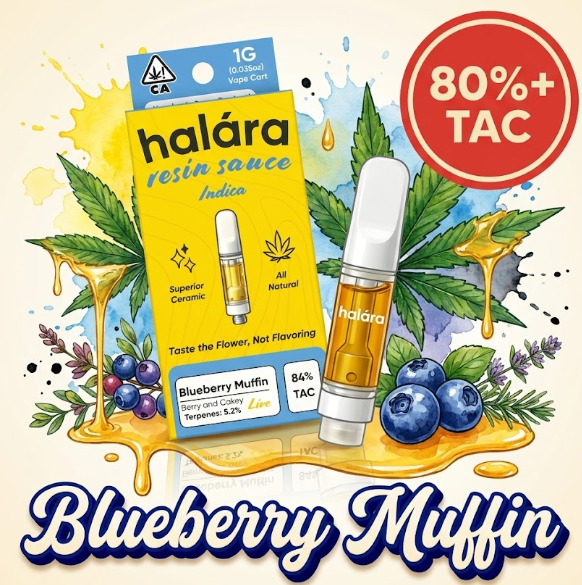 Halara: Blueberry Muffin