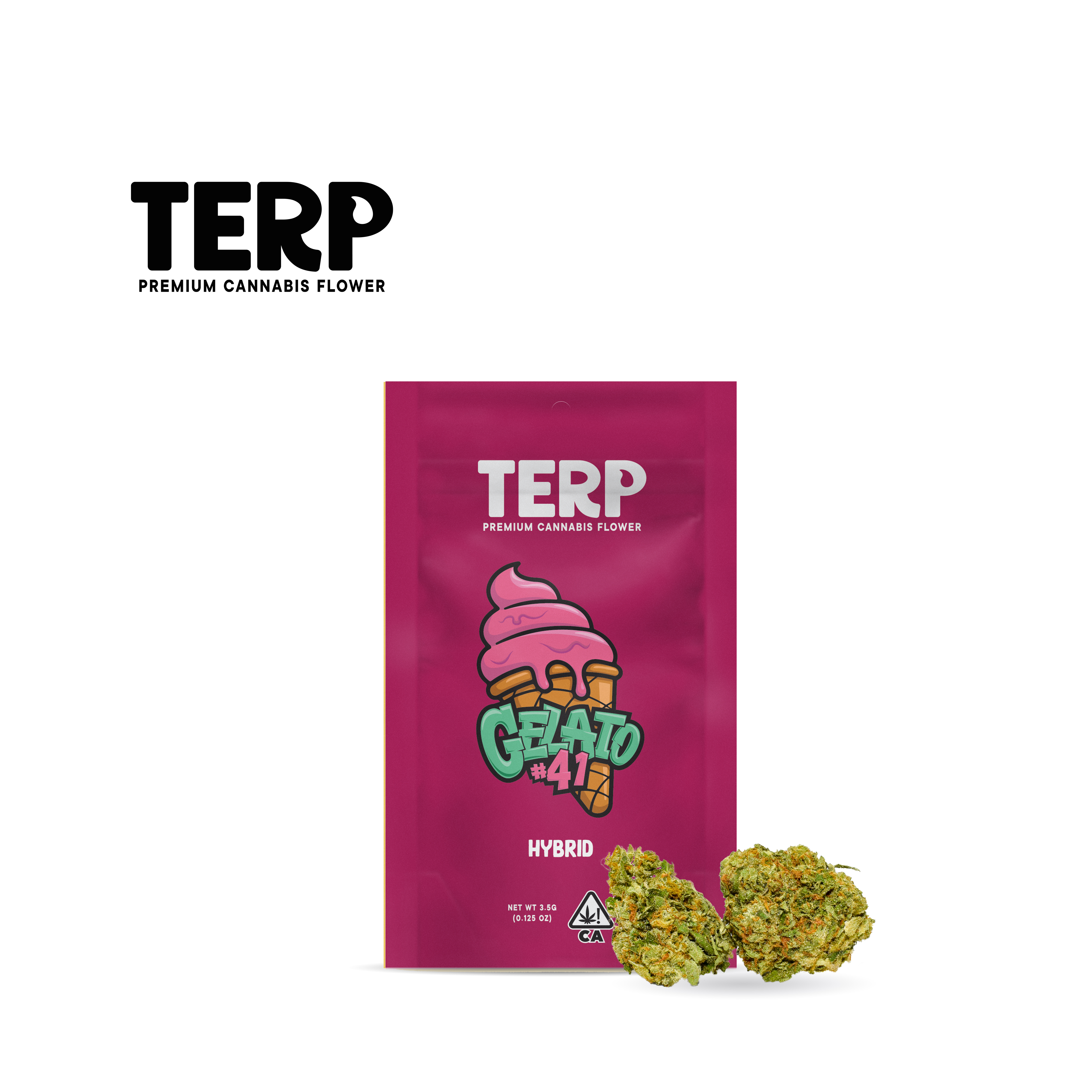 TERP — Gelato 41