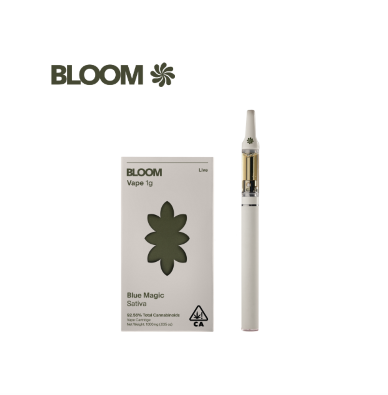 BLOOM — Pink Mimosa