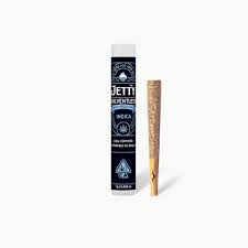 Jetty — Governmint Oasis X Garlic Burger