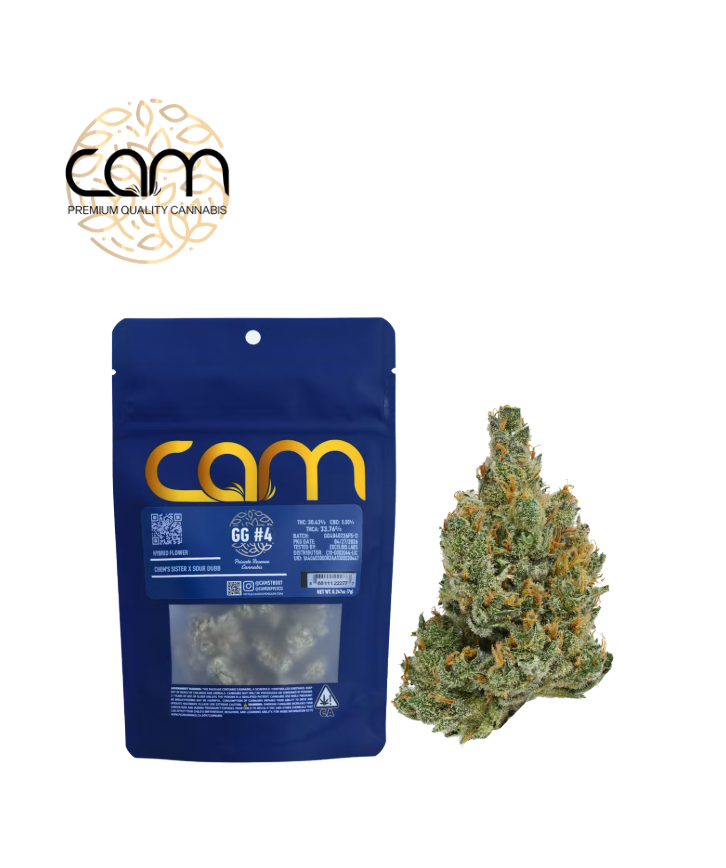 CAM: Gg#4
