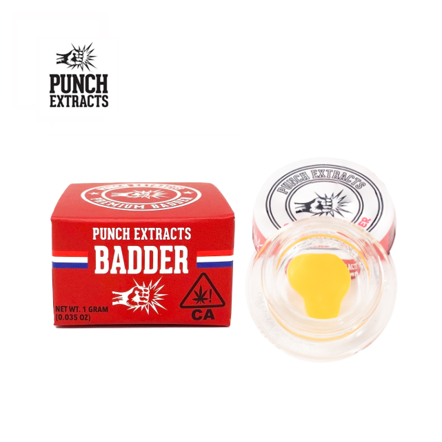 Punch — Gushers Bho