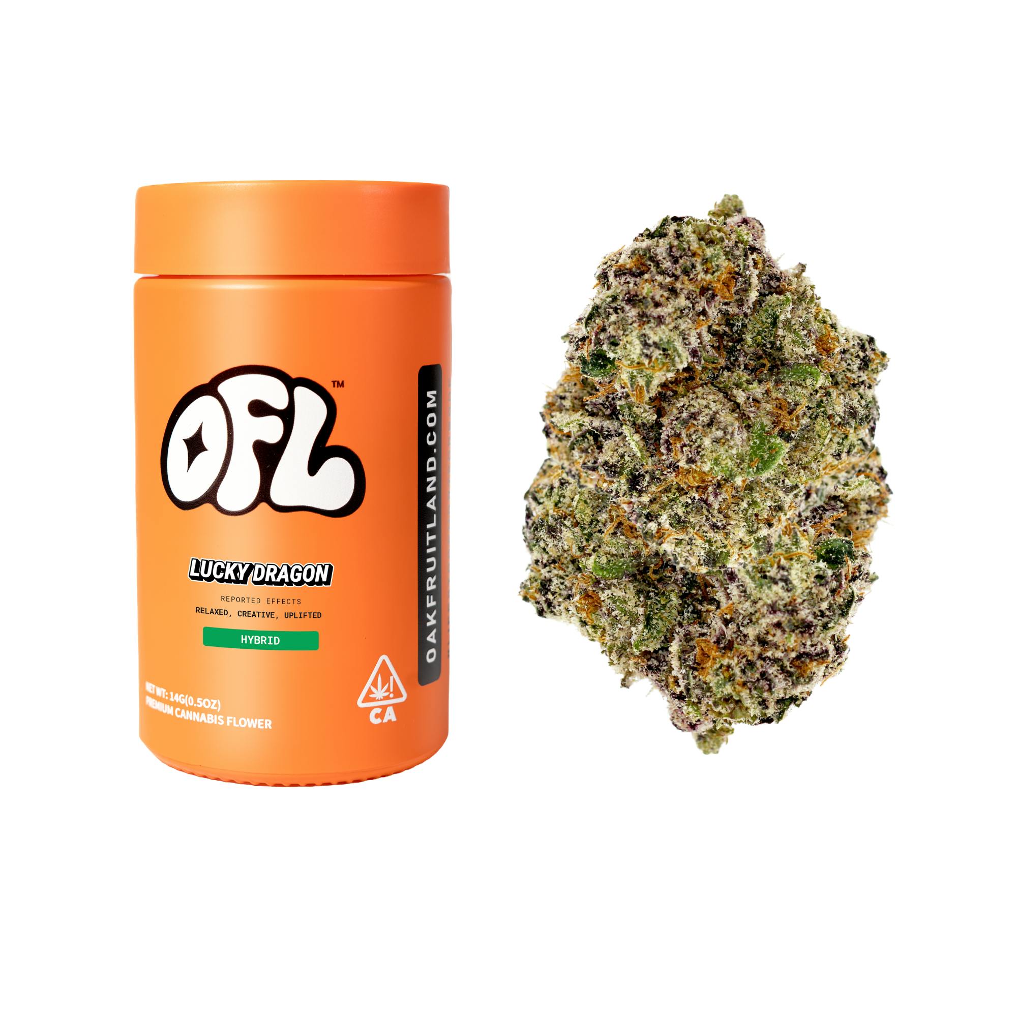 Oakfruitland: Lucky Dragon