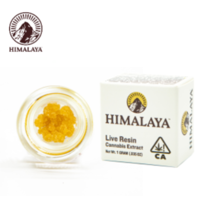 Himalaya: 24K Goat Terp