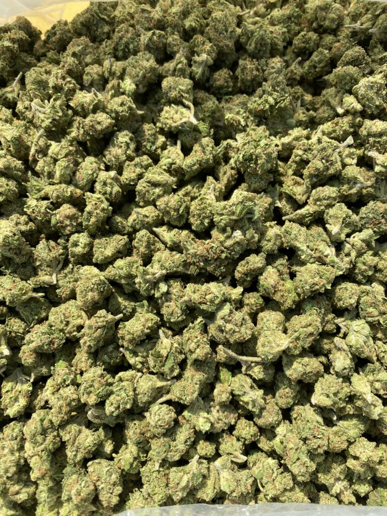 Suite Success — Jack Herer X Pineapple
