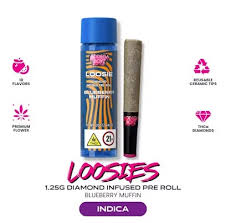 Bodega Boyz: Blueberry Muffin