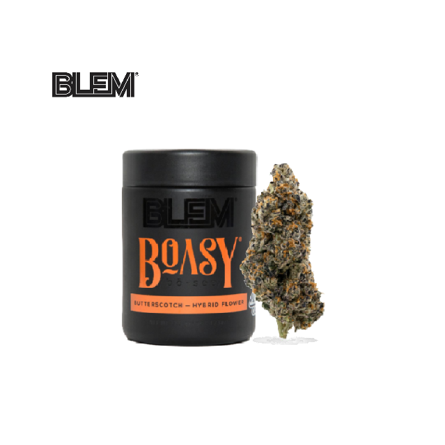 BLEM — Boasy