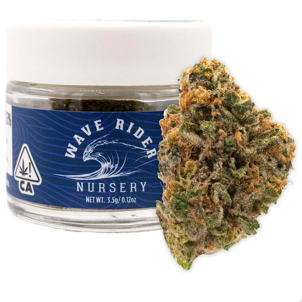 Wave Rider — Garlic Butter