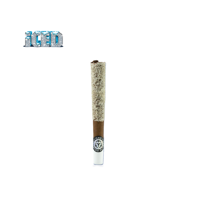 ICED — Watermelon Z Blunt