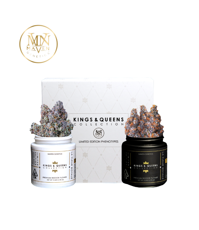 Maven — House Of Prizm Kings And Queens Collection