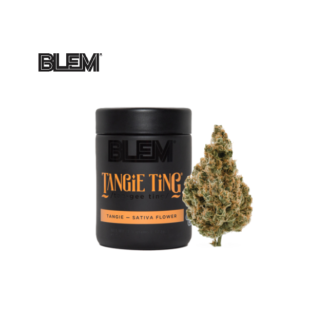 BLEM — Tangie Ting