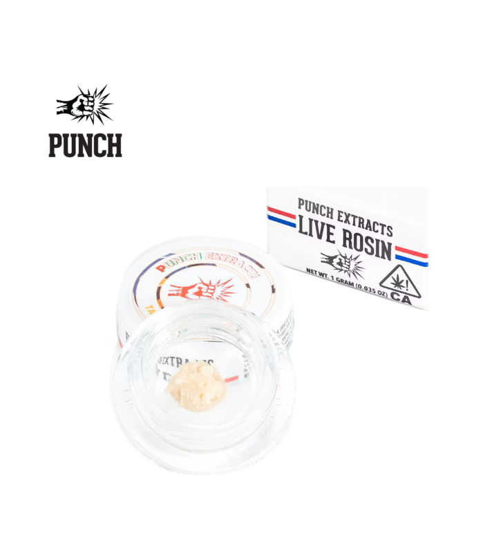 Punch — Tangie Berto Tier 4
