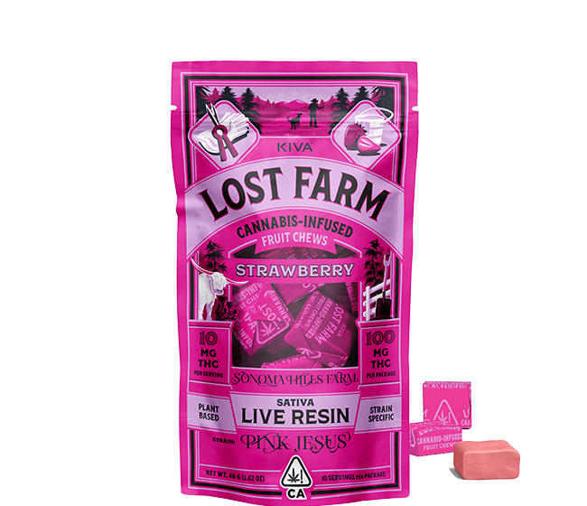 Lost Farm: Watermelon Ice Cream Cake