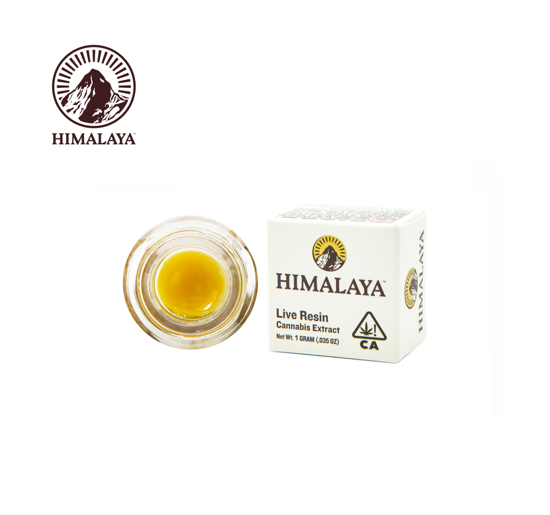 Himalaya: Wakanda Terp