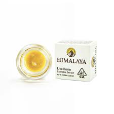Himalaya: GRAVY 1G LIVE RESIN BADDER