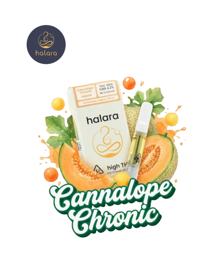 Halara — Cannalope Chronic