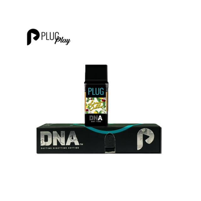 PlugPlay — Limoncello