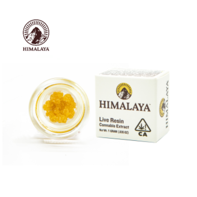 Himalaya: Apple Tartz Terp