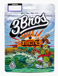3 Bros: Northern Tide