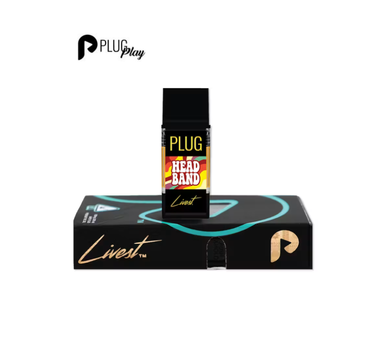 PlugPlay: Headband