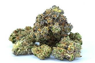 Bright Lights: Black Light