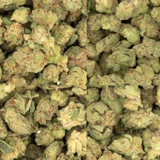 Allswell: Chemical Cookies
