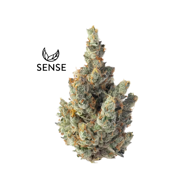 Sense — GMO