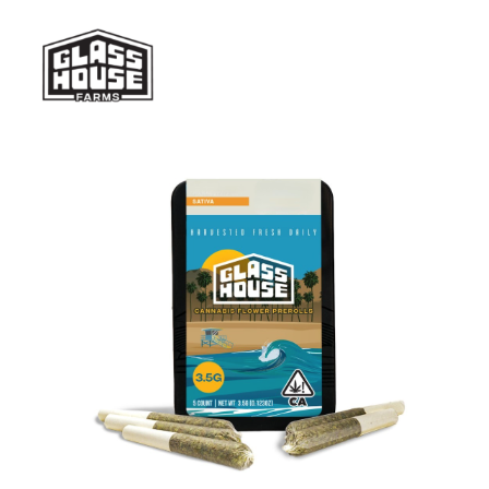 Glass House Farms: Golden State Jack