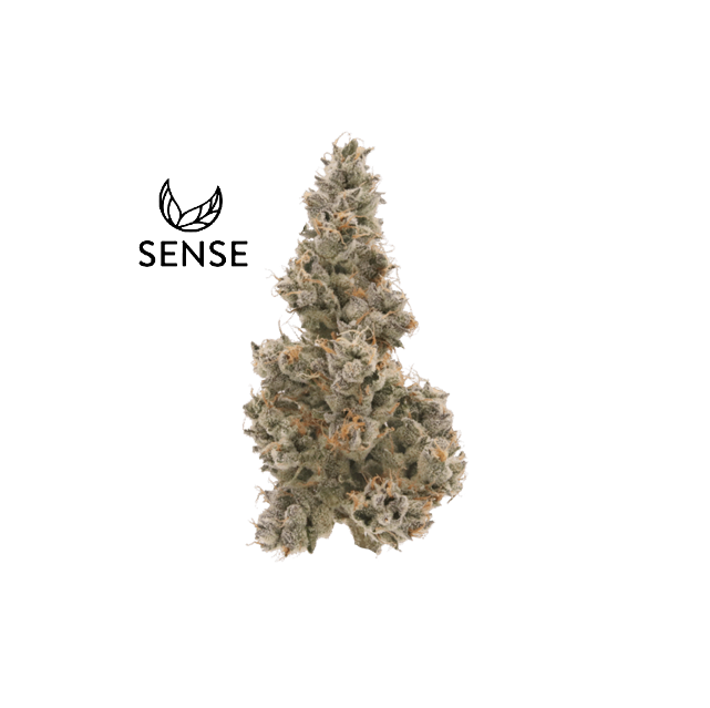 Sense — Sour Diesel