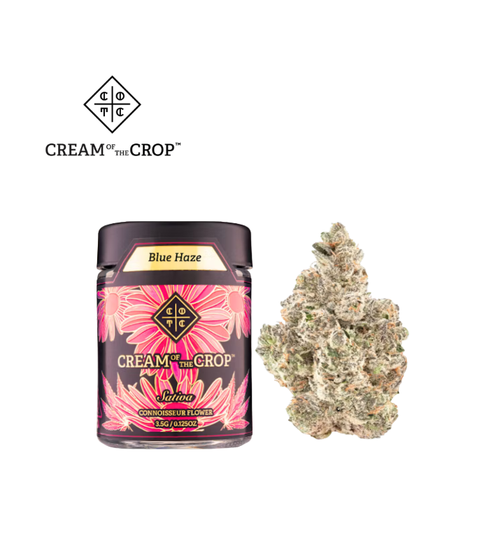 CREAM OF THE CROP — Blue Haze