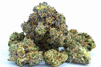 BUENAS NOCHES 3.5G