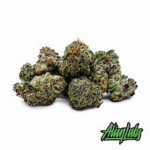 Alien Labs — Planetary OG