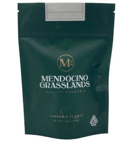 Mendocino Grasslands: Phat Cat