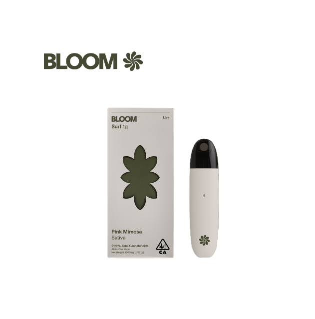 BLOOM — Pink Mimosa