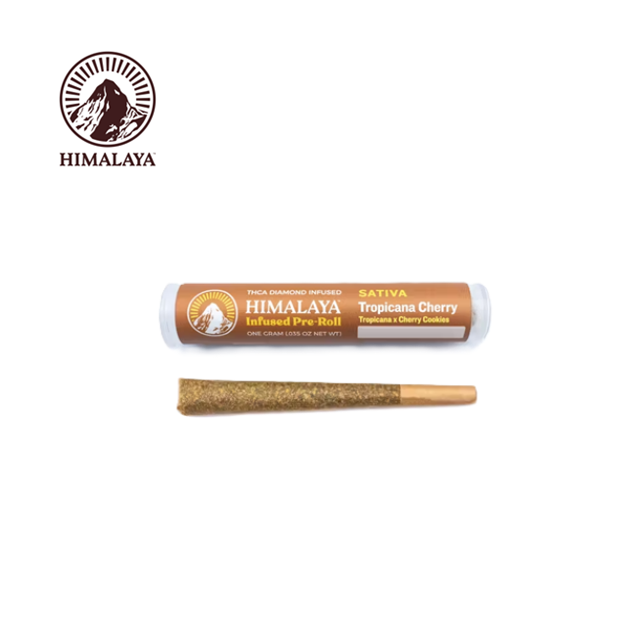 Himalaya — Tropicana Cherry